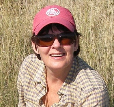 开云手机网页版登录入口创新论坛第一千五百四十四讲：Intra-plate oceanic island basalts:  retrospective and perspectives 