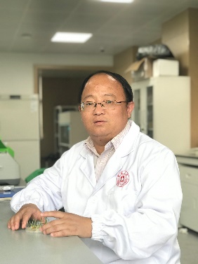 开云手机网页版登录入口创新论坛第一千二百四十四讲暨120周年校庆年系列活动：碳（13C,14C）同位素标记技术在稻田土壤碳循环研究中的应用案例