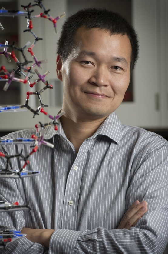 开云手机网页版登录入口创新论坛第一千九百七十八讲：核酸适配体筛选：从小分子到微塑料