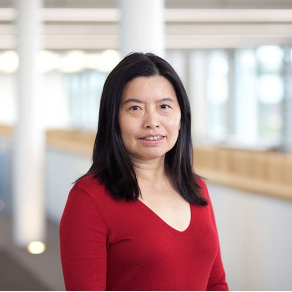 开云手机网页版登录入口创新论坛第一千九百七十七讲：Silk roads and global connections through the study of heritage materials