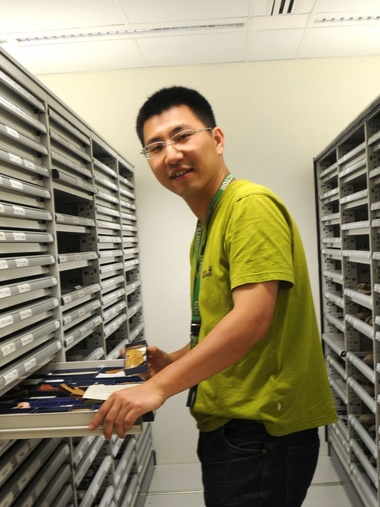 开云手机网页版登录入口创新论坛第一千八百零一讲：虫鸣凤舞伴花香：现代陆地生态系统的起源