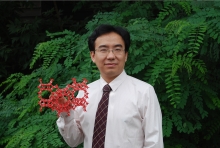 开云手机网页版登录入口创新论坛第一千二百七十三讲暨120周年校庆年系列活动： Unexpected slow diffusion in hierarchical porous materials with combined surface and configurational diffusion   