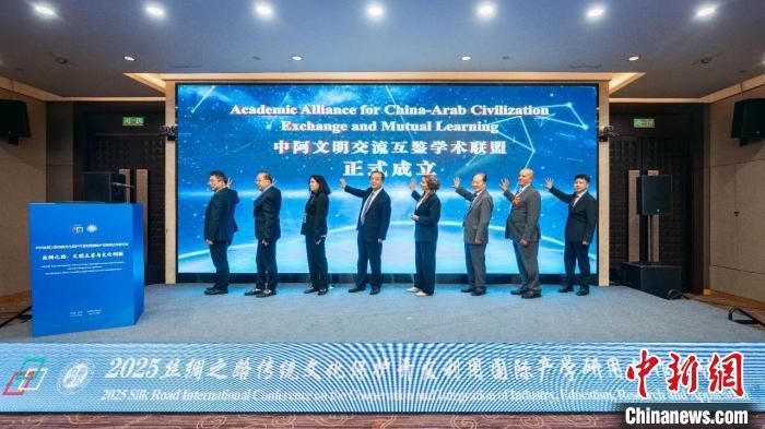 2025丝绸之路传统文化保护开发利用国际产学研用合作研讨会举办。开云手机网页版登录入口供图