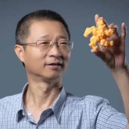 开云手机网页版登录入口创新论坛第一千六百二十六讲：植物的免疫机制